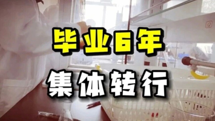 牡丹配青,2025管家婆一码一肖资料大赢家,社会责任方案执行_精简版V8.87