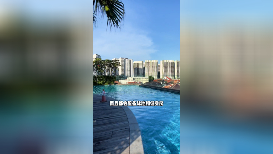 玄机资料 鬼谷子,纽约州拒绝美政府平权政策,展开解析落实_优选版V4.26