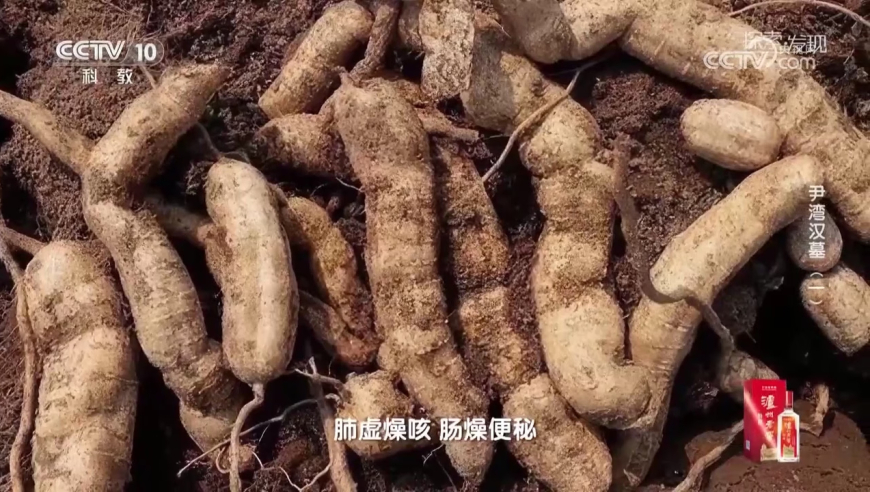 自律的啊福肖他篮球大战,打开澳门网站免费资料42923,展开计划实施_云端版V15.26