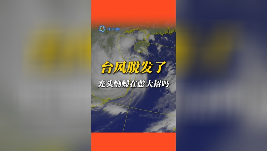 2025澳门管家婆资料7788,采访“门童”粉丝,广泛的解释落实方法分析_手机版V12.60